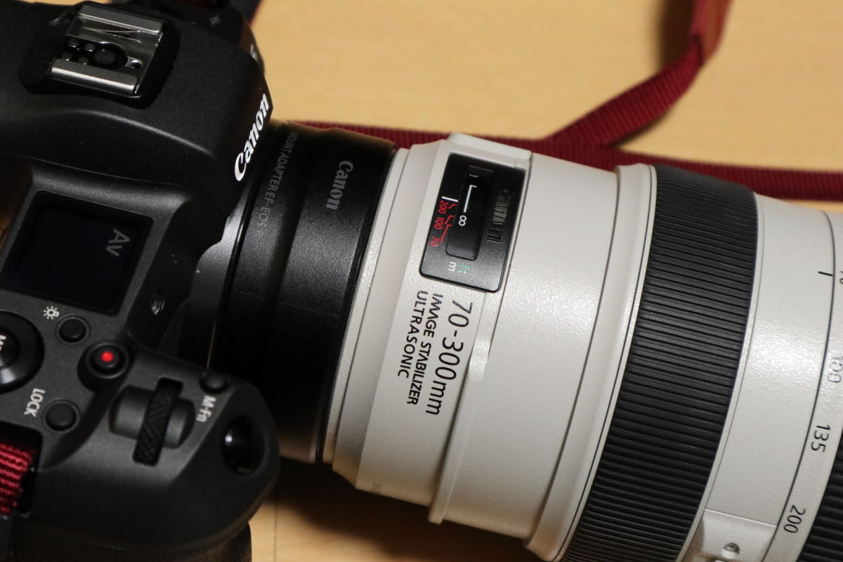 EOS R + EF70-300mm F4-5.6L IS USM : Beagle Cafe