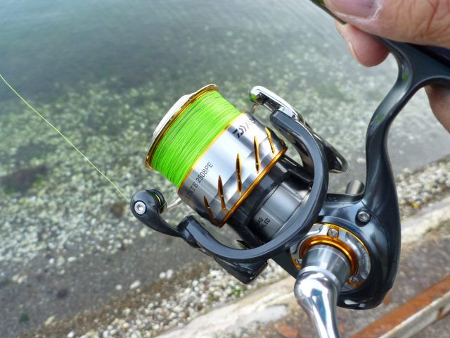 13セルテート2508PE : 123通信