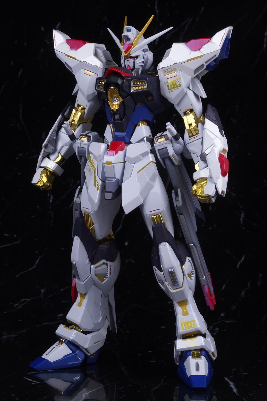 METAL BUILD ストライクフリーダムガンダム [METAL BUILD FESTIVAL