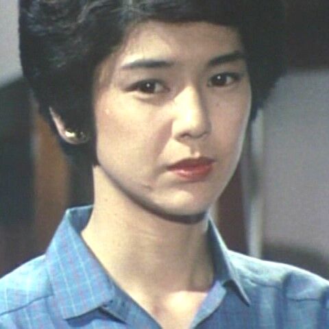 土曜ワイド劇場 江戸川乱歩の美女シリーズー第12作（1980年