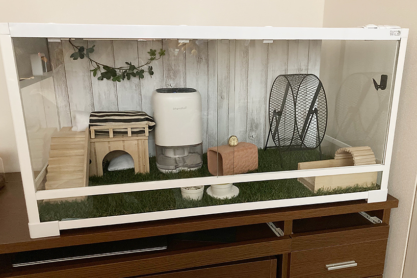 ハリネズミのケージ選び《パンテオン使用比較》 : ハリネズミちくちく日記