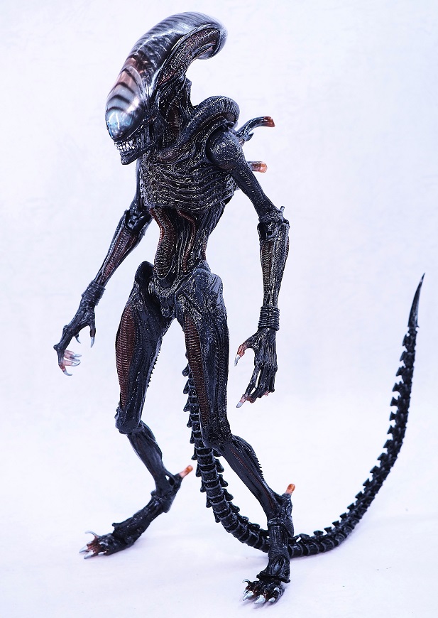 NECA スコーチド ゼノモーフ レビュー : おもちゃの巣（玩具レビュー）