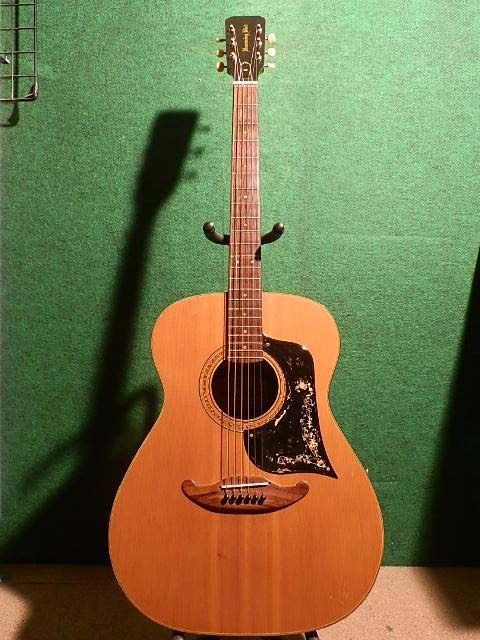 東海楽器ハミングバード 96F : 中古楽器屋への道(2） グラスホッパー