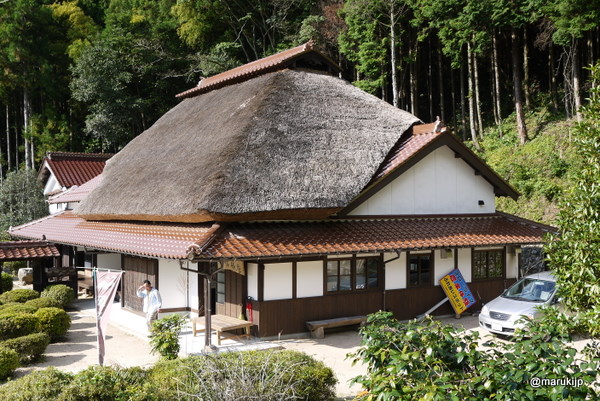 嘉村礒多 : ♡ ☘ ♢ ♤