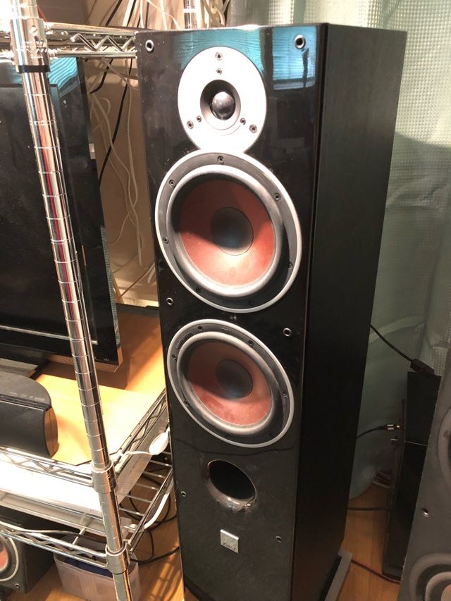 DALI ZENSOR 7 : 子守唄はHeavy Metal♫