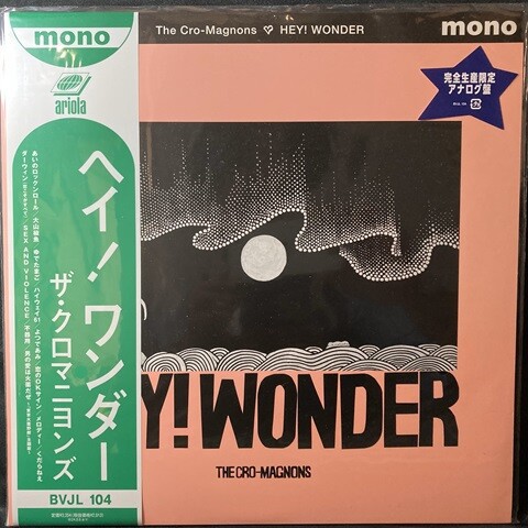 中古J-POP/レコード】ザ・クロマニヨンズの各種レコードが入荷いたし