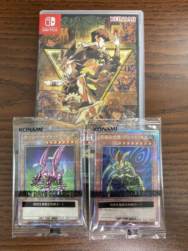 カ*ア様 kncard73-1248 ホーリーナイトドラゴン 究極完全態・グレー カ