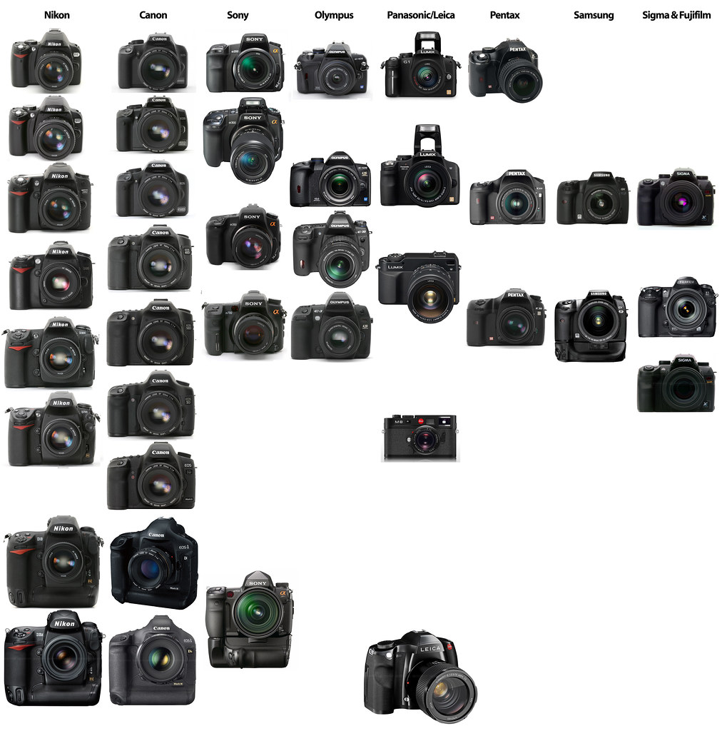 State of the DSLR market: Nikon vs. Canon vs. Sony/Minolta… | Flickr