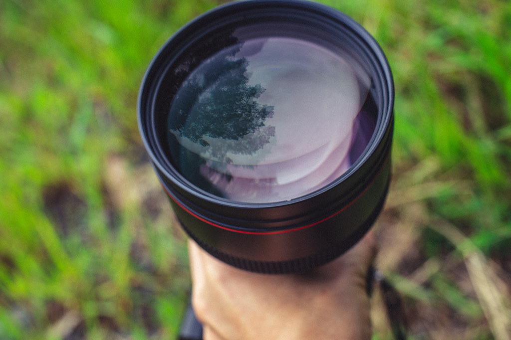 サンニッパで彼岸花 Tokina AT-X SD 300mm F2.8 【作例集