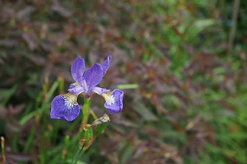 Schneider Kreuznach Radionar L 45mm F2.8 | Flickr