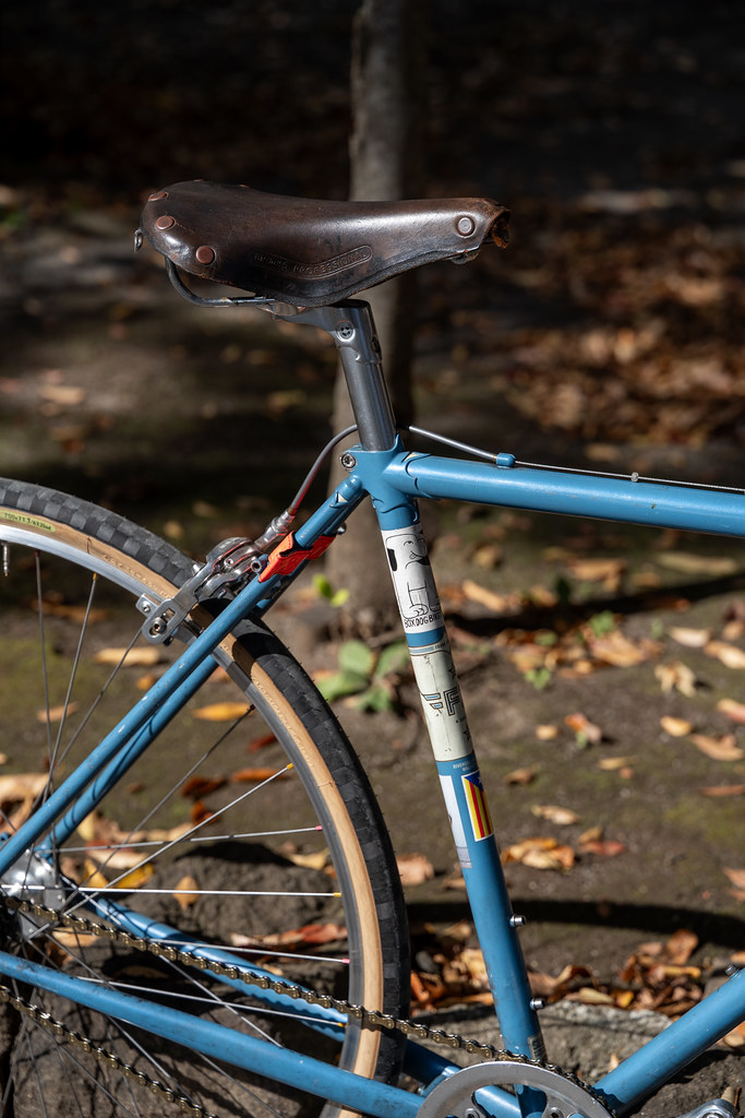 Tani's *RIVENDELL* frank jones Sr. / BUILT BY BLUE LUG