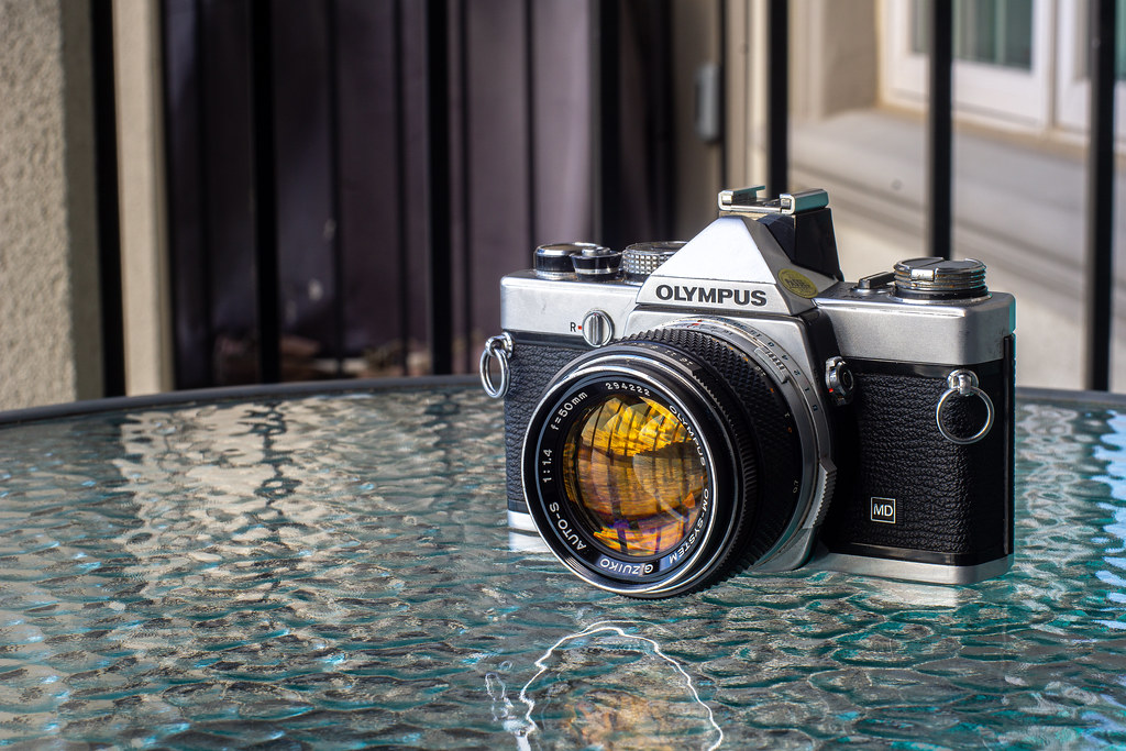 ☆ OLYMPUS OM-1N + ☆ 広角レンズ28mm ☆ OLYMPUS OM-1N + ☆ 広角