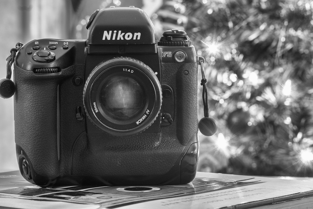 Camera Review Blog No. 22 – Nikon F5 – Alex Luyckx | Blog