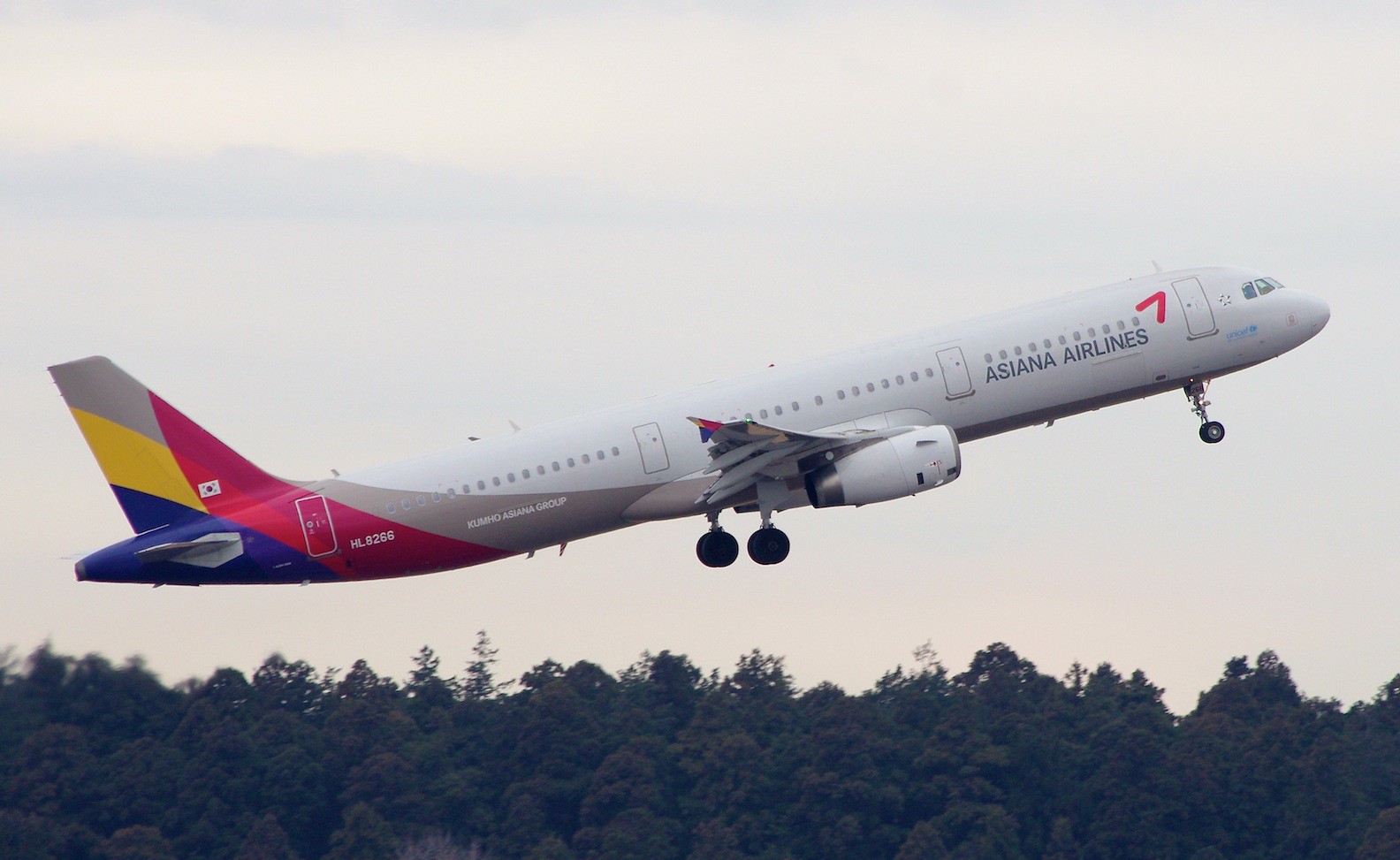 Asiana aviationtag A321-100 HL7594