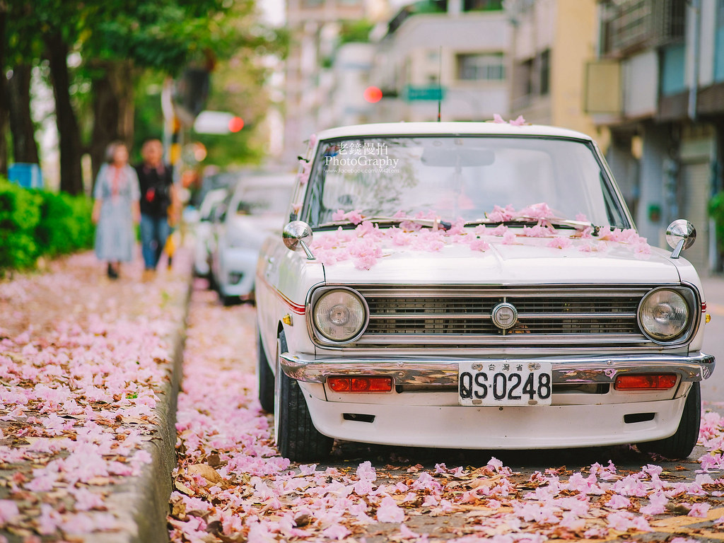 contax Carl Zeiss Sonnar 135MM F2.8 C/Y | 筱山青作 oldlens slow