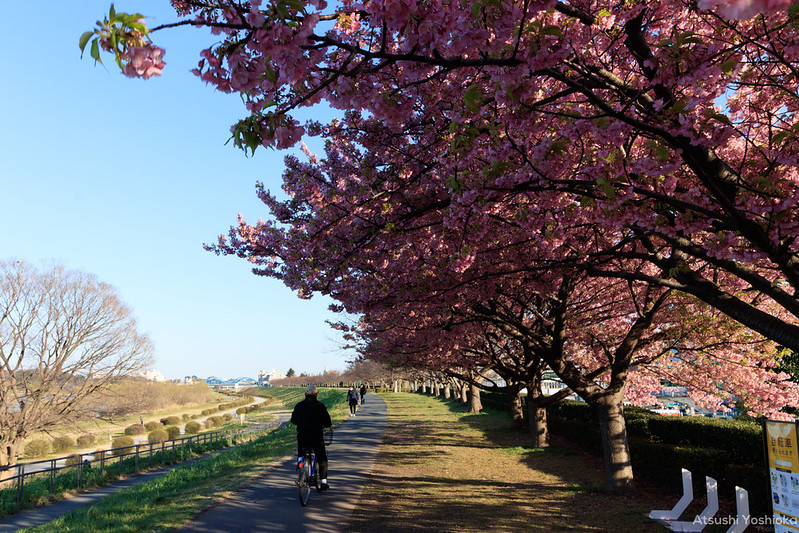 Canon EF-S10-18mm F4.5-5.6 IS STM実写レビュー。はじめての超広角に