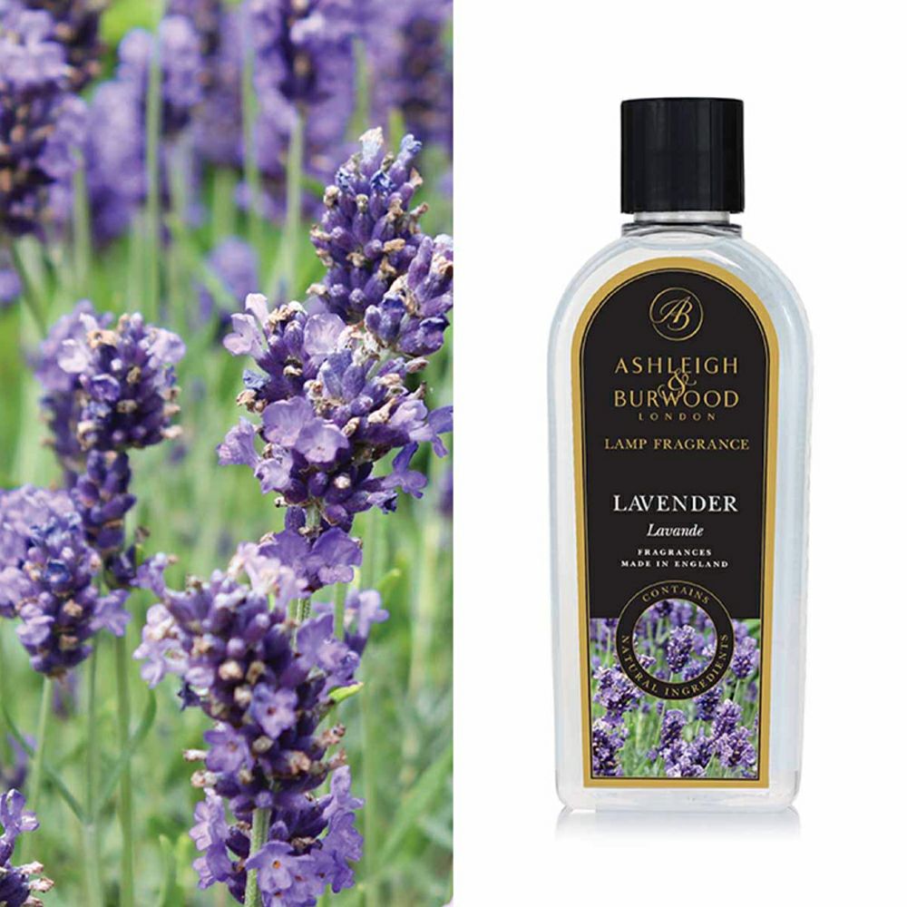 000000000081-01.jpg?size=l&w=