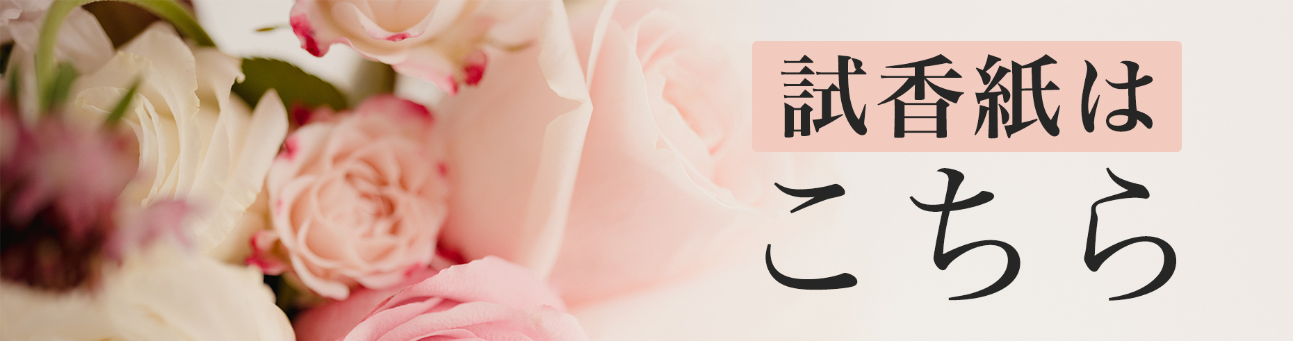 フレグランスランプS リトルオーシャン ASHLEIGH&BURWOOD（アシュレイ