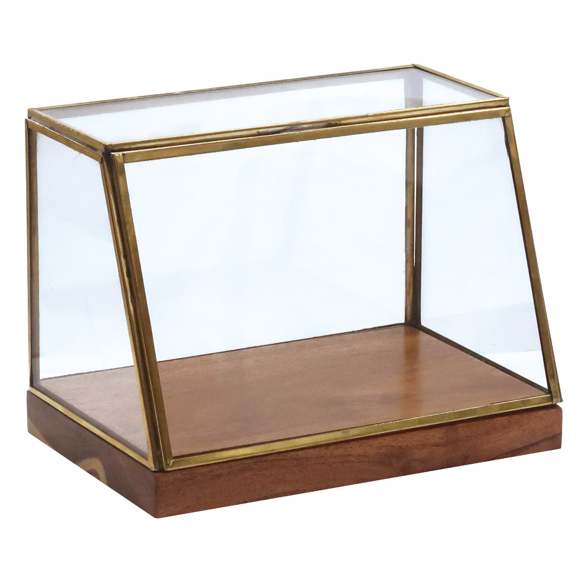 dショッピング |ショーケース アルテン ブラスショーケース L 天然木