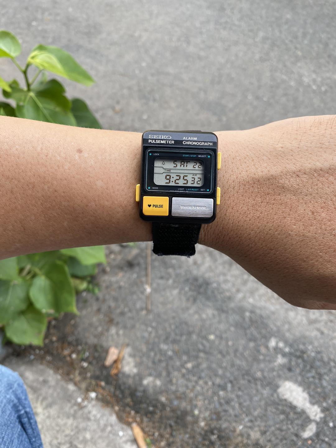 1980's SEIKO DEMO018 PULSEMETER S229-5001, made in Japan – Long's