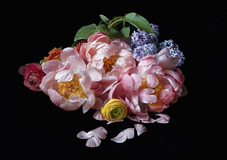 Hermès by nature - The Eye of Photography Magazine