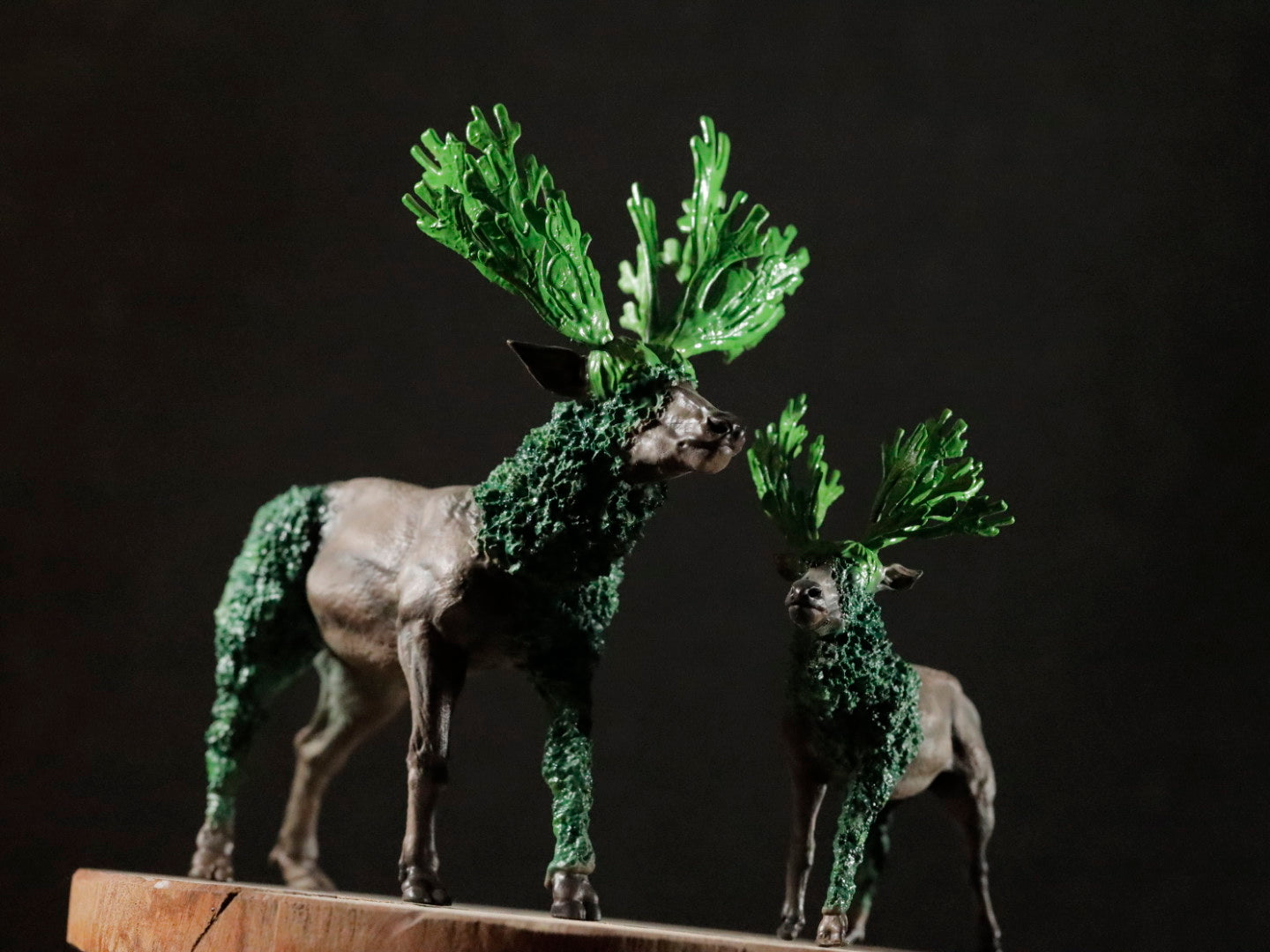 ビカクシカ フィギュア – LOBINDON