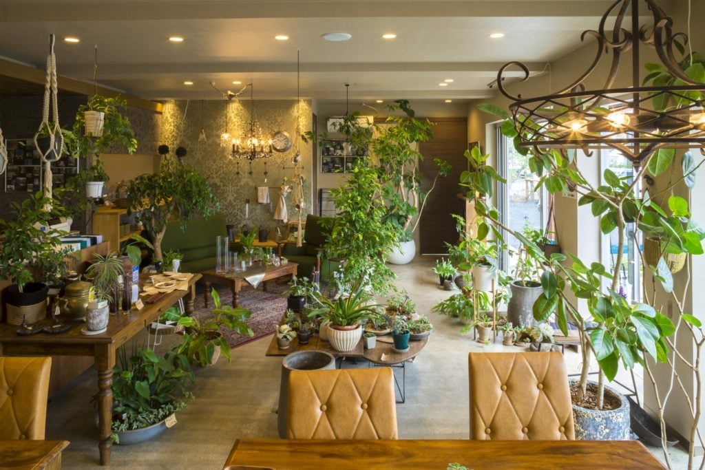 COZY 江津店 | 熊本市 | 園芸店 | LOVEGREEN(ラブグリーン)