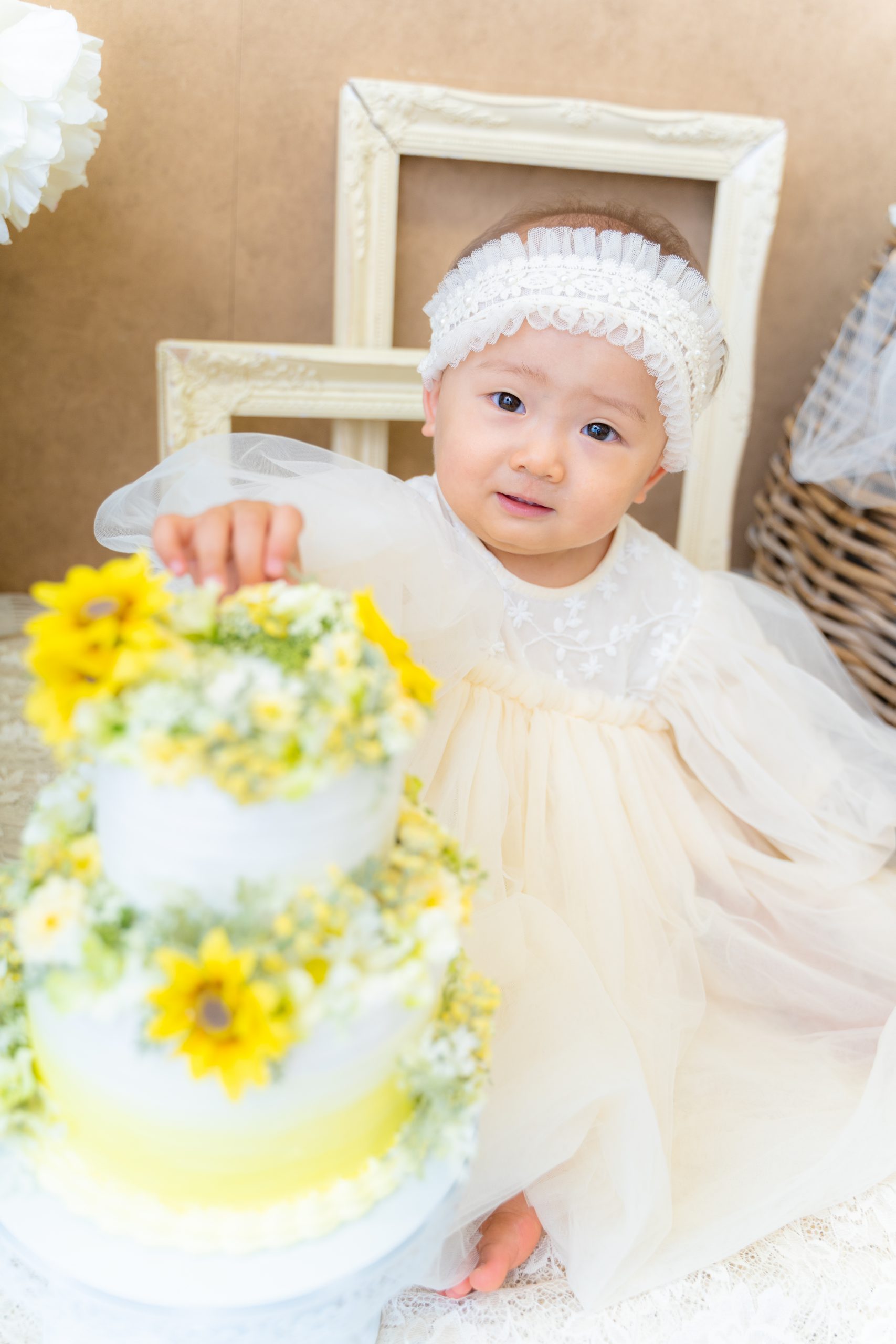 期間限定スペシャル／サマーパック | お知らせ | 子供フォトスタジオ