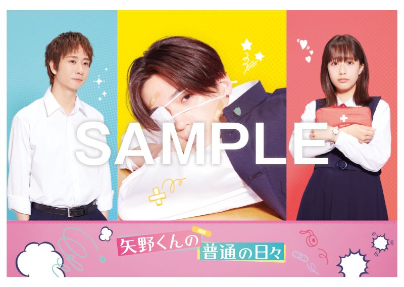 DVD 矢野くんの普通の日々 映画 八木勇征 中村海人 特典ポストカード
