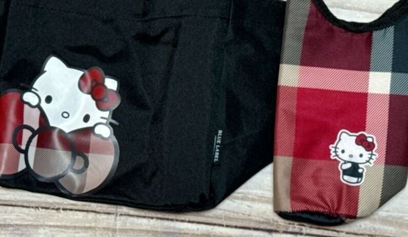 チェック柄が可愛すぎ！ハローキティの最新付録「豪華2点セット」が