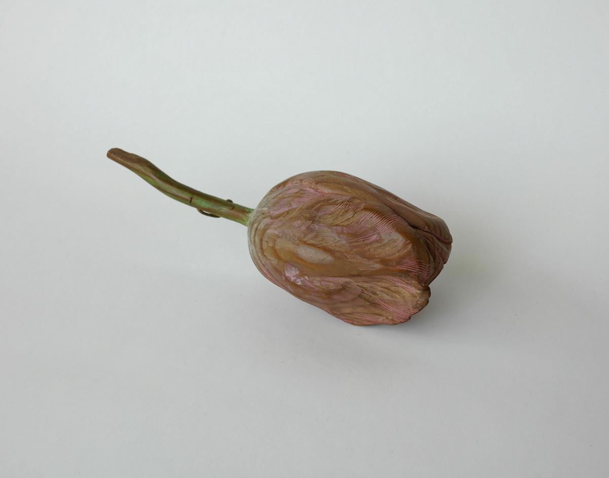 草花の木彫作品で知られる須田悦弘の個展が渋谷区立松濤美術館で 初期