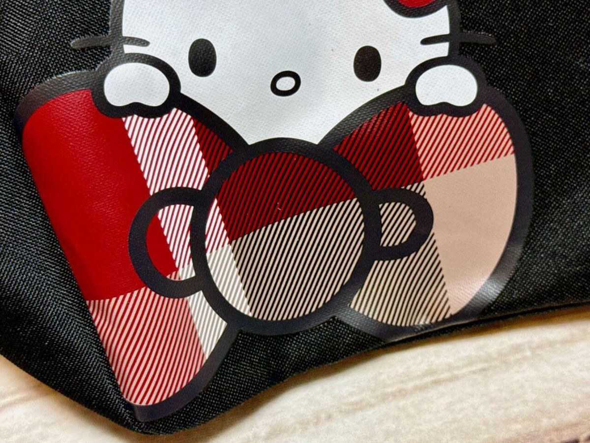 チェック柄が可愛すぎ！ハローキティの最新付録「豪華2点セット」が