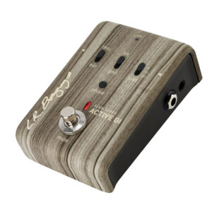 ショップ – L.R.Baggs Japan