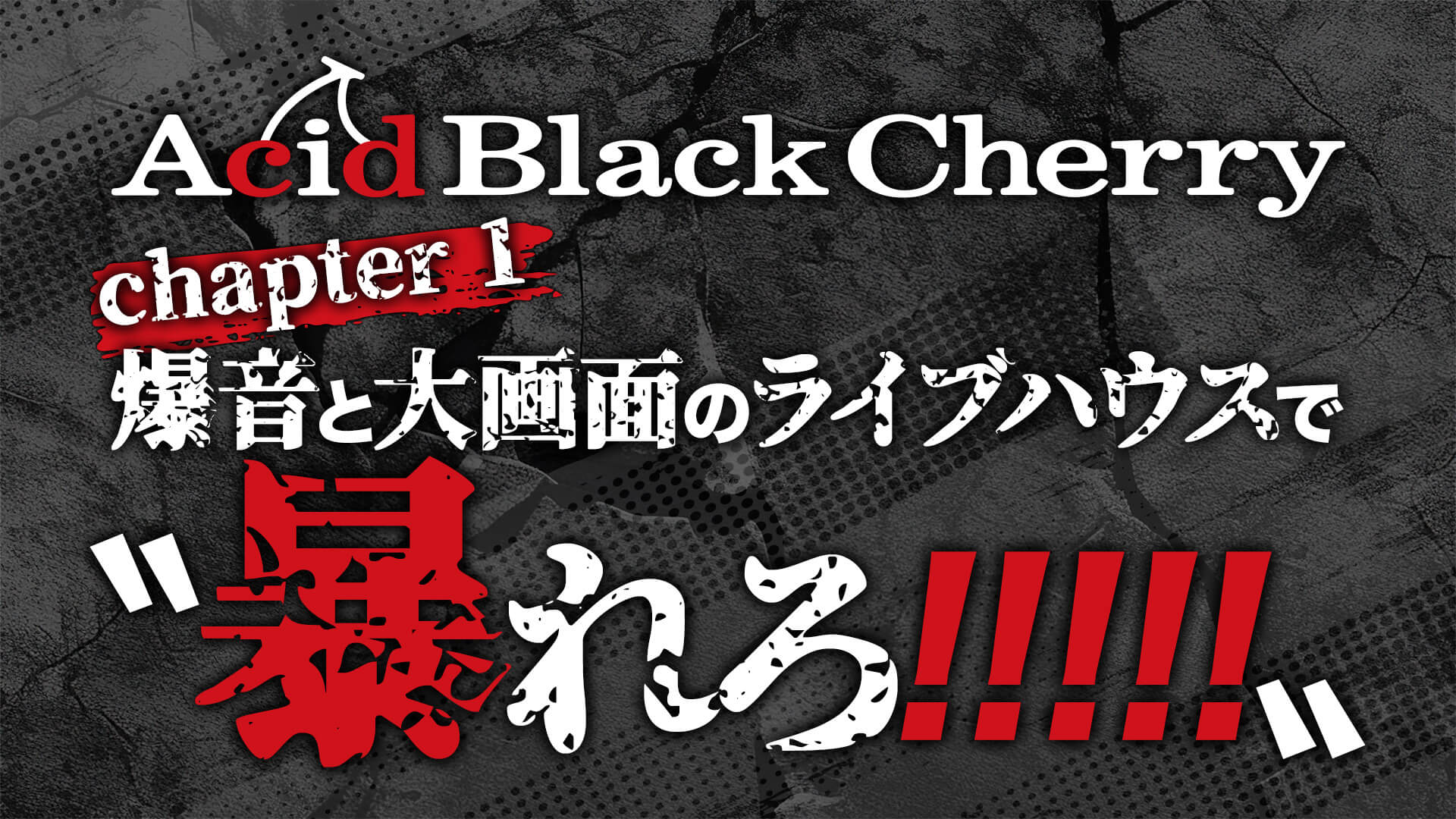 Acid Black Cherry project〝暴れろ!!!!!〟