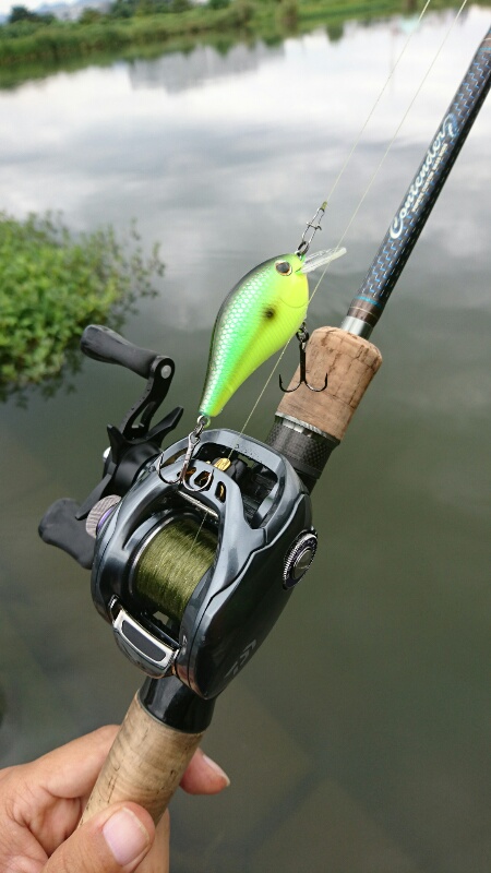 インプレ】ダイワ | タトゥーラ SV TW【汎用性激高】 | lurecafe