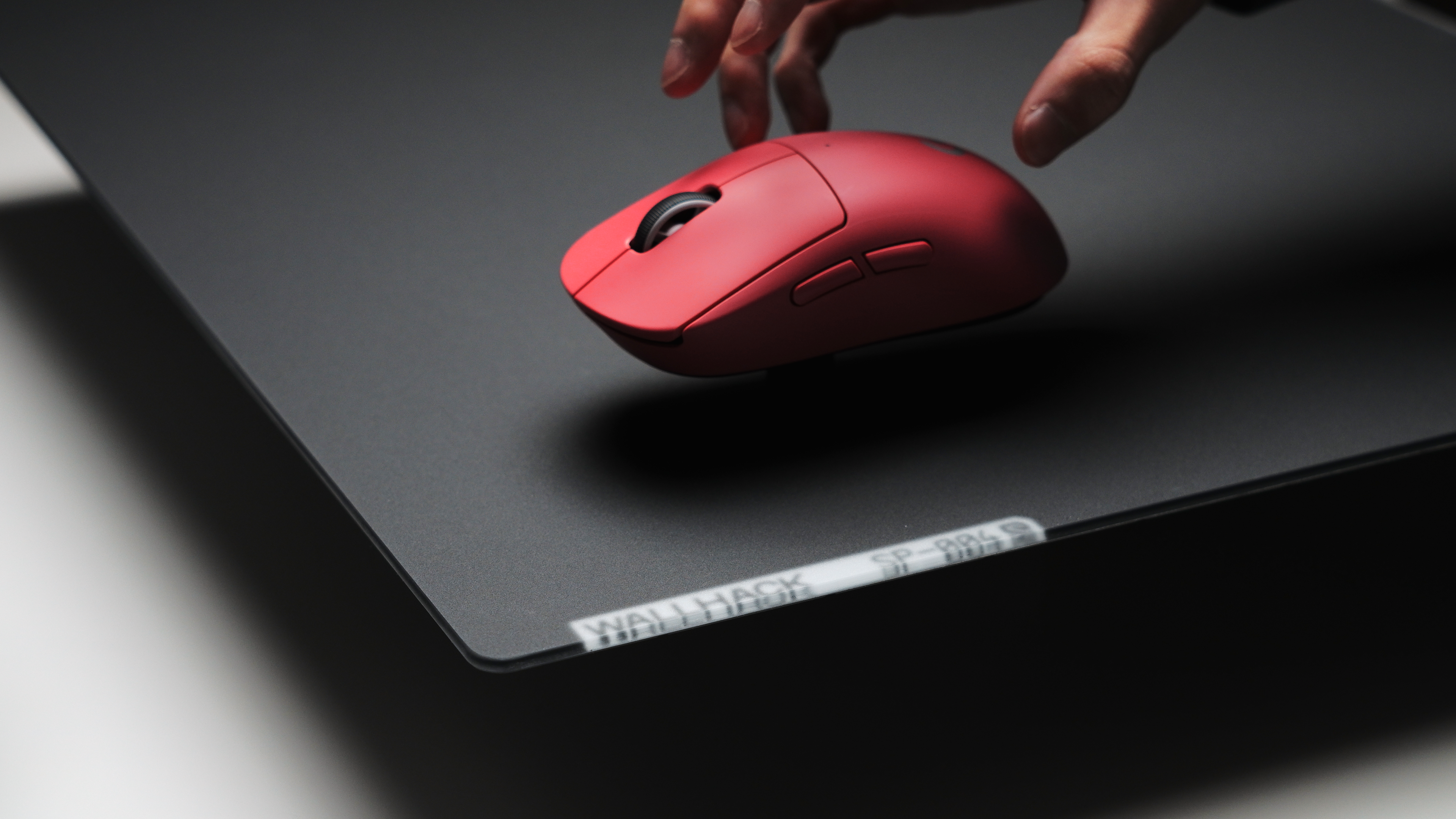 WALLHACK SP-004 レビュー