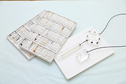 身体を芯から改善！オステオパシーを取入れた治療！みのわ整骨院