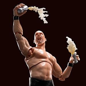 Amazon.co.jp: TAMASHII NATIONS S.H.フィギュアーツ WWE ストーン