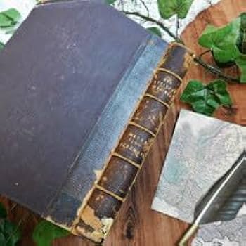 Amazon.co.jp: +:。.。1887年 背表紙が素敵なドイツの古書