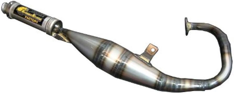 Amazon | カメレオンファクトリー パラライザー3 DIO-ZX/SR/SP/G'系