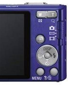 Amazon.com : Sony DSC-W730/L 16.1 MP Digital Camera with 2.7-Inch