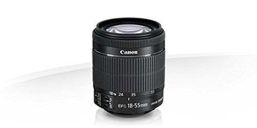 Canon EF-S 18-55mm f/3.5-5.6 is STM Lens : Amazon.in: Electronics