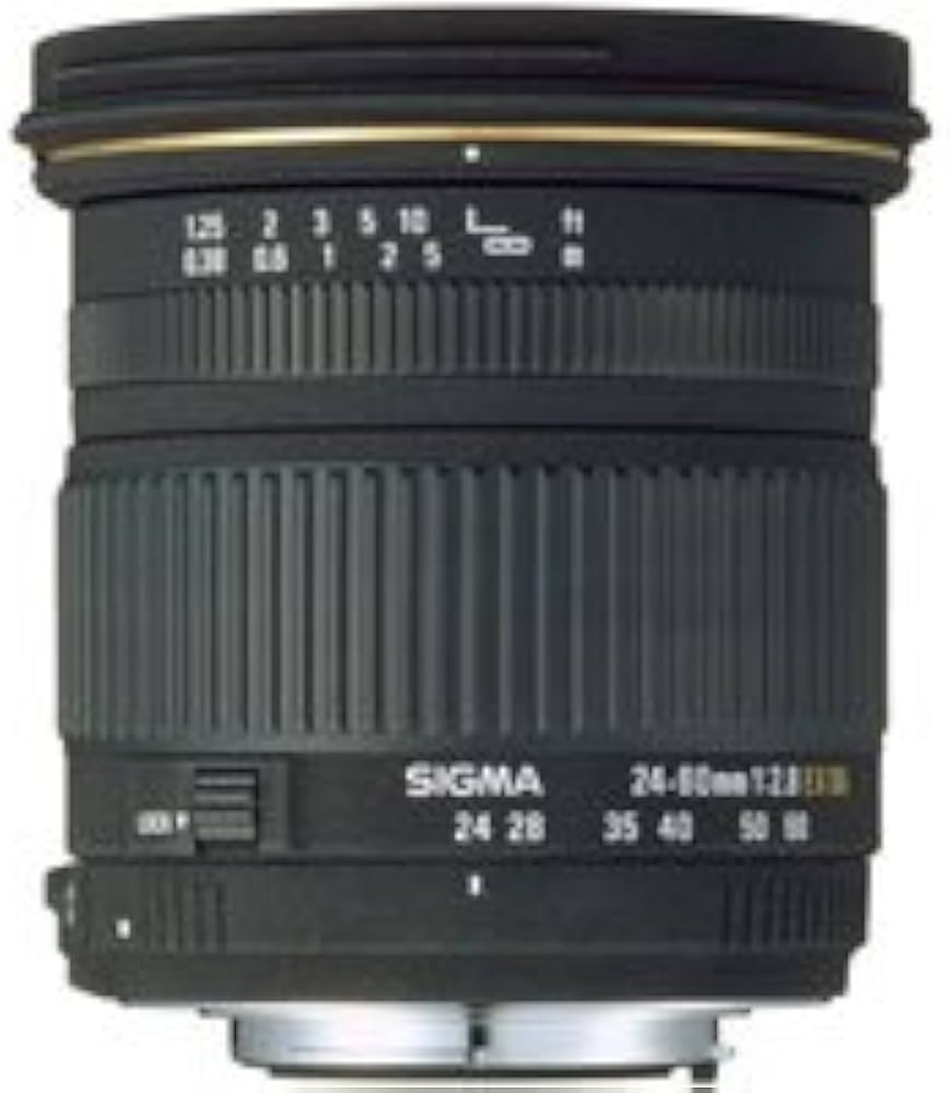 Amazon.com : Sigma 24-60mm f/2.8 EX DG IF Aspherical Wide Angle