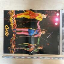 Amazon.co.jp: キャンディーズ CANDIES ラストアルバム 卒業アルバム2