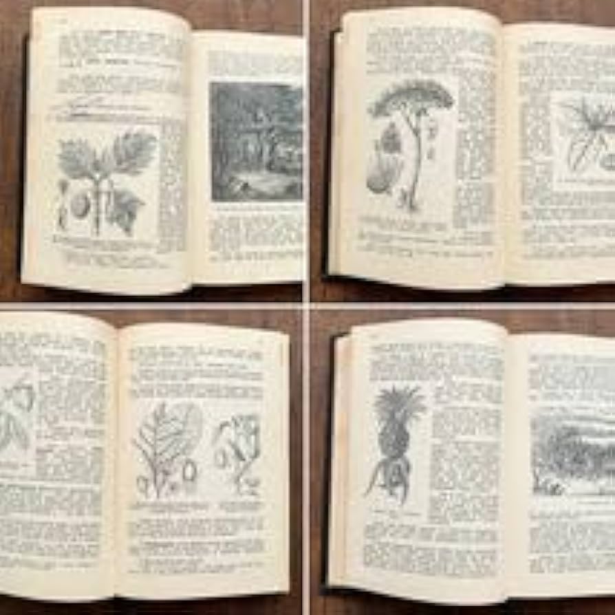 Amazon.co.jp: アンティークチェコの古い植物図鑑(Stromy a kre ovocne