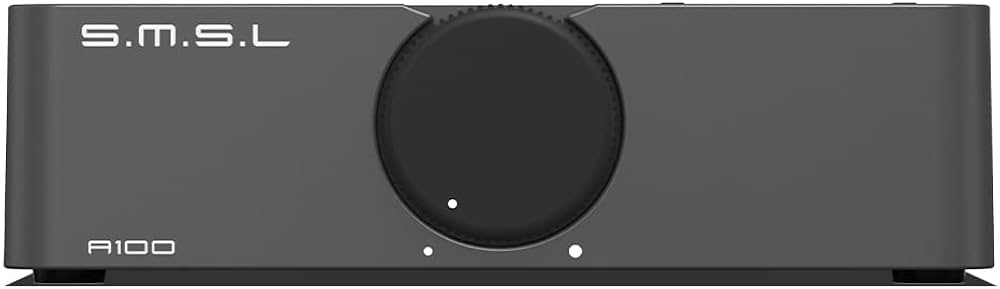 Amazon.com: S.M.S.L A100 Bluetooth 5.0 Stereo Audio Mini Class D
