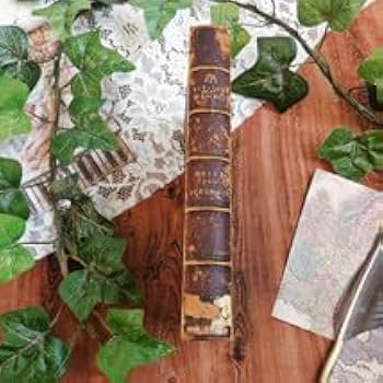 Amazon.co.jp: +:。.。1887年 背表紙が素敵なドイツの古書