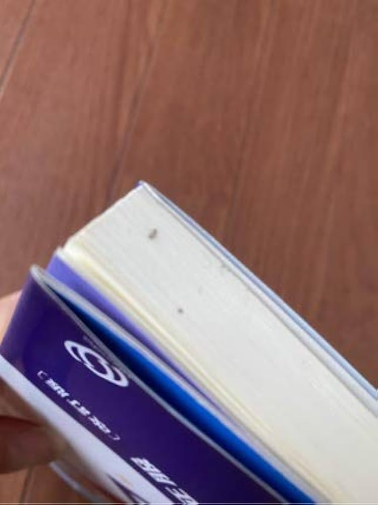 英語語法の征服 改訂版 (マイセレクト) | 綿貫 陽 |本 | 通販 | Amazon