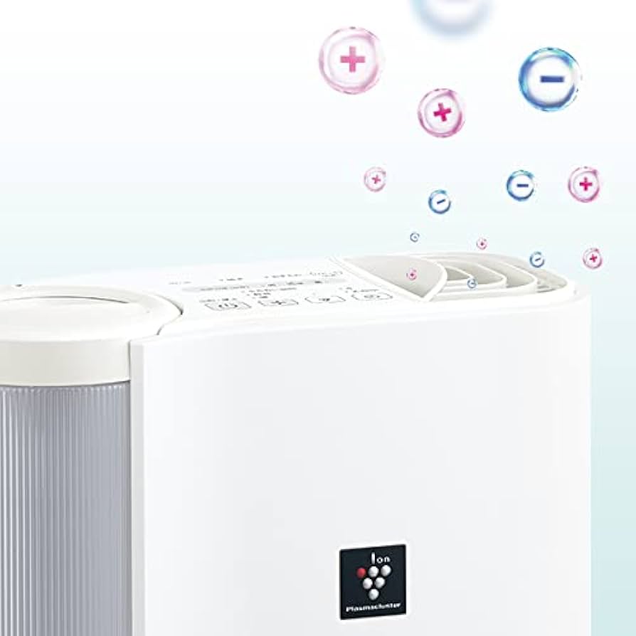 31PoTy-1wGL._AC_UF894,