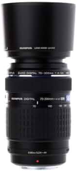 31W8QALTICL._AC_UF350,